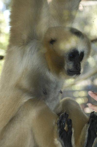 zoo_137 [800x600].jpg